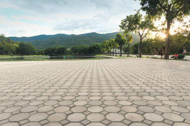 Best Driveway Pavers Contractor  in St Robert, MO